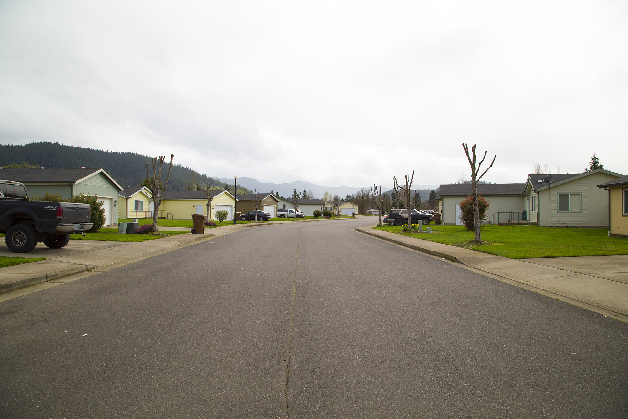 A street and row of homes near Cow Creek Oregon